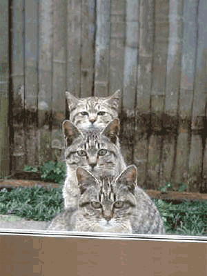 http://upforme.ru/uploads/0000/78/2e/503-2-f.gif