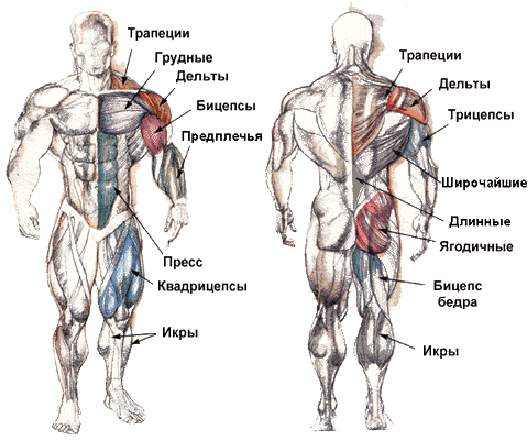 http://upforme.ru/uploads/0000/88/7d/515-1-f.jpg