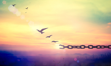 http://upforme.ru/uploads/0000/8c/d9/355/t748929.png