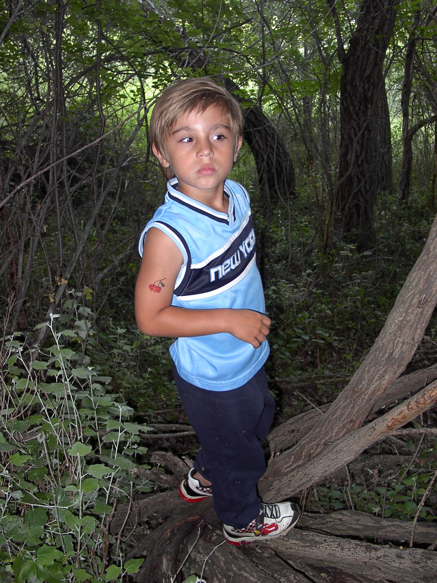 http://upforme.ru/uploads/0000/a6/4a/2263-1-f.jpg