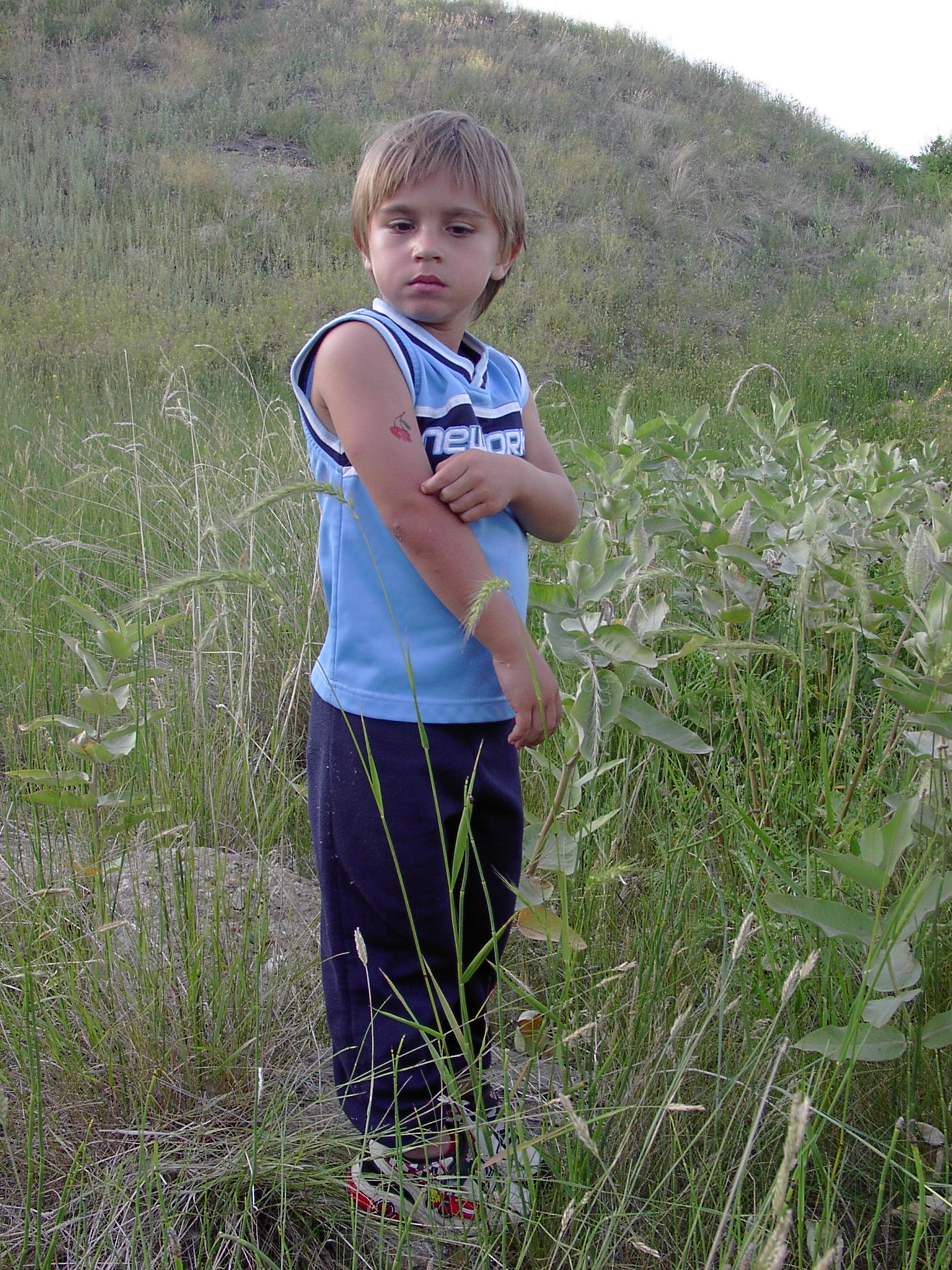 http://upforme.ru/uploads/0000/a6/4a/2273-1-f.jpg