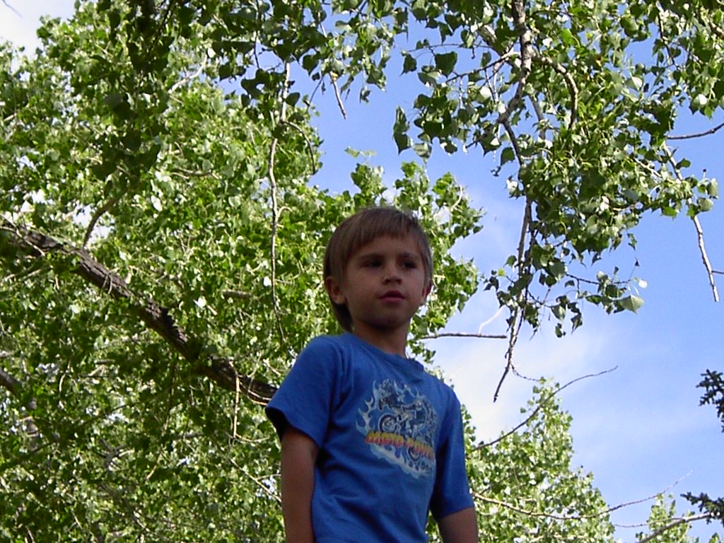 http://upforme.ru/uploads/0000/a6/4a/2330-1-f.jpg
