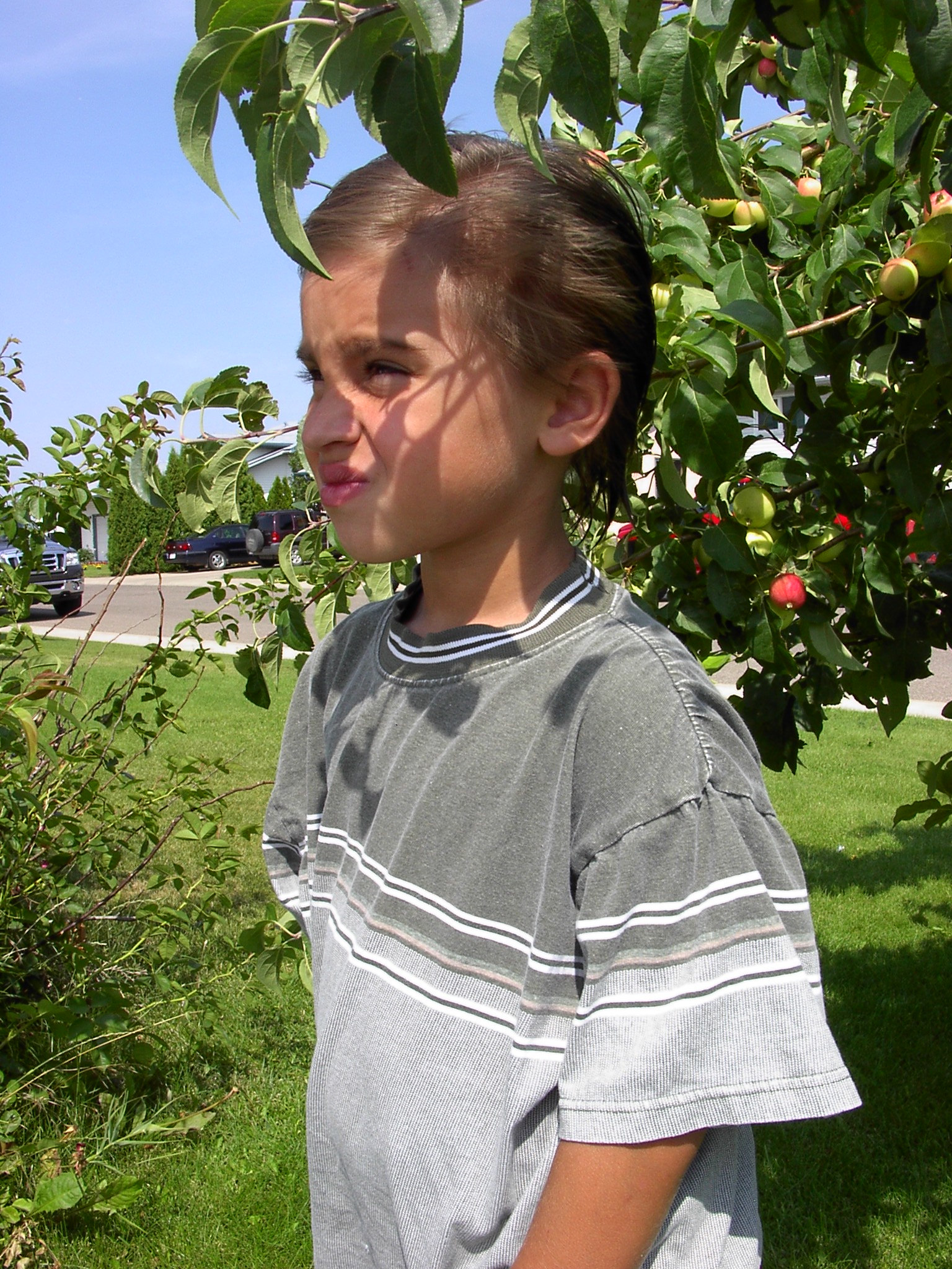 http://upforme.ru/uploads/0000/a6/4a/2341-1-f.jpg