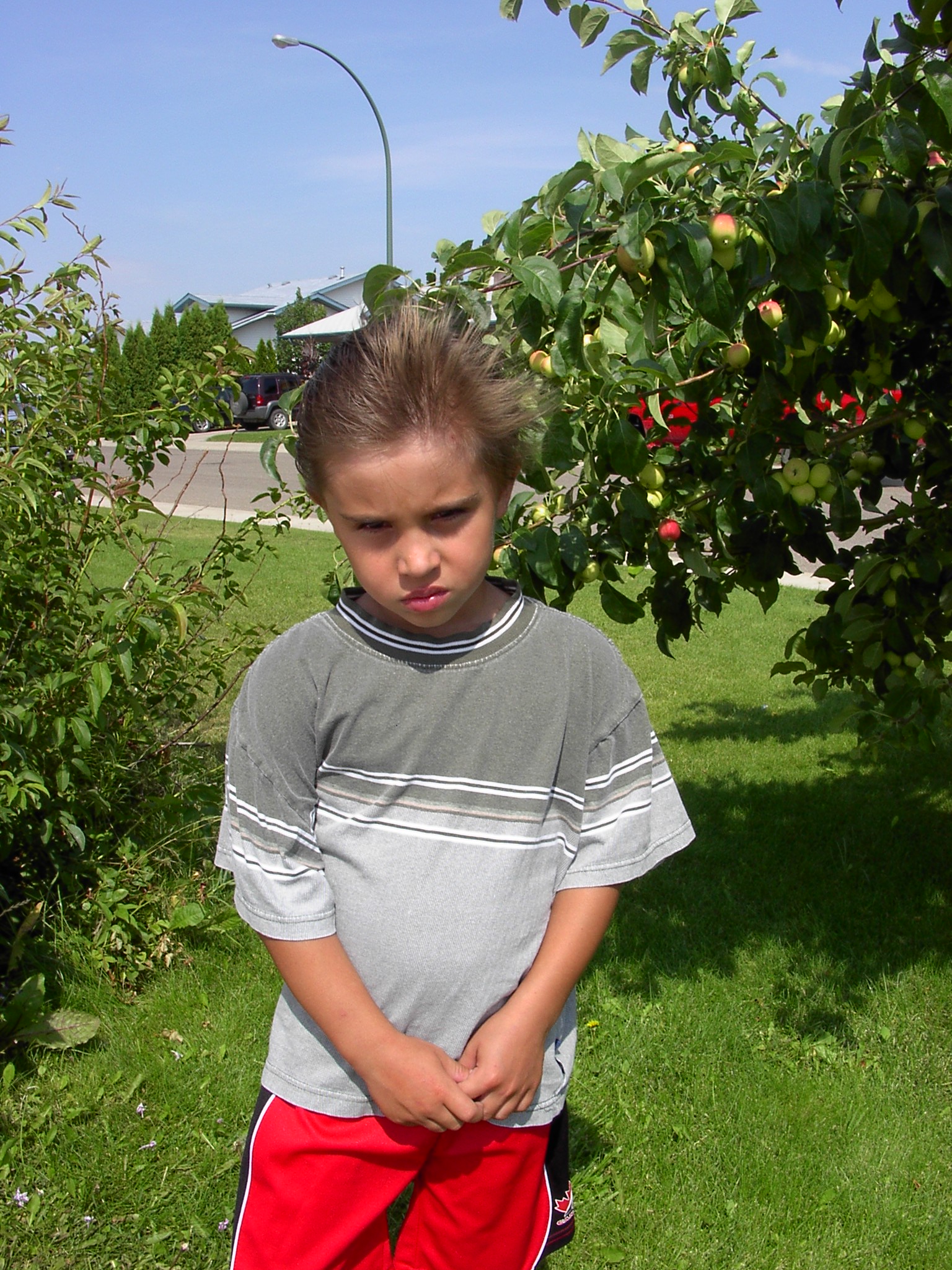http://upforme.ru/uploads/0000/a6/4a/2342-1-f.jpg