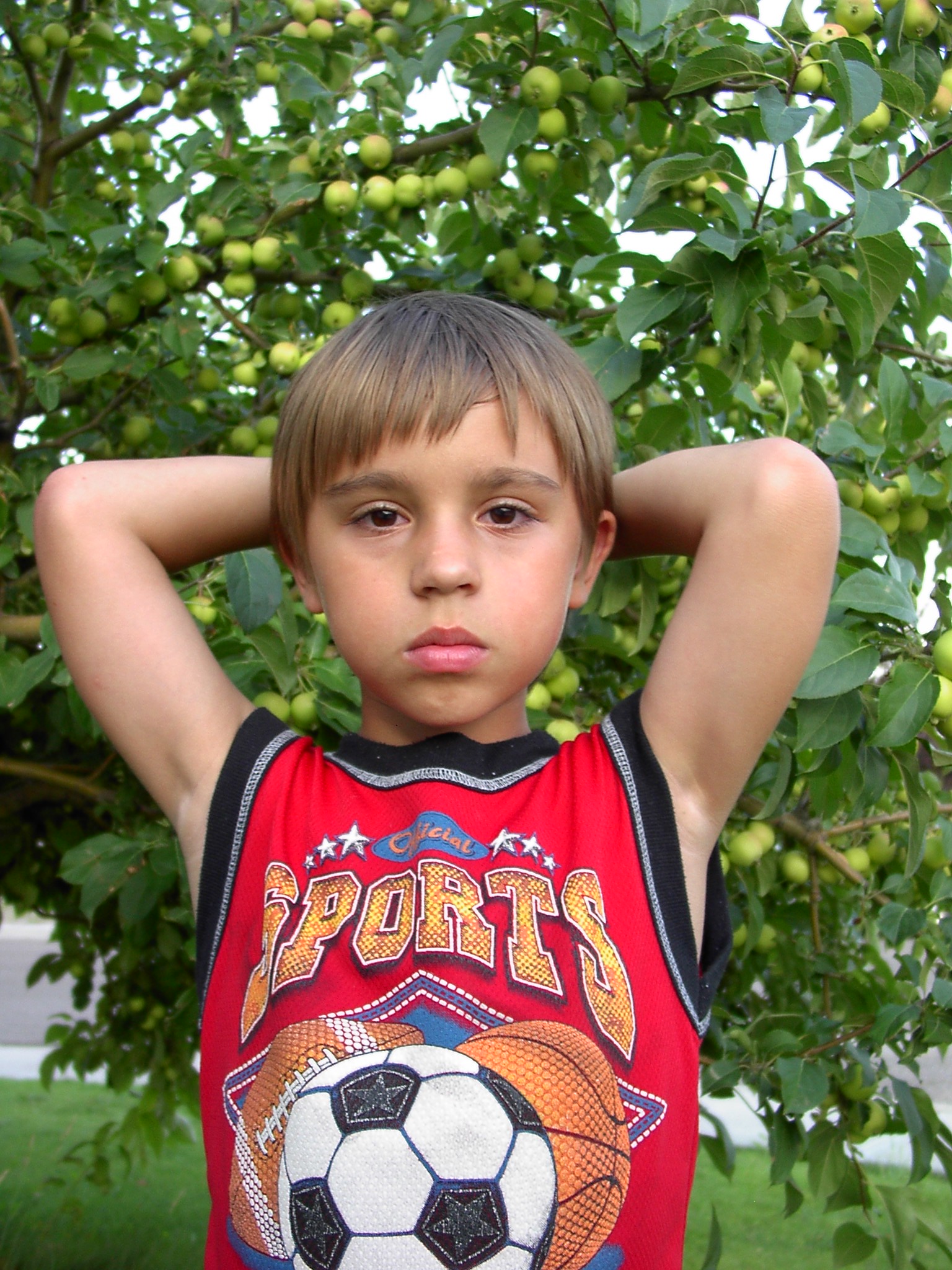 http://upforme.ru/uploads/0000/a6/4a/2441-1-f.jpg