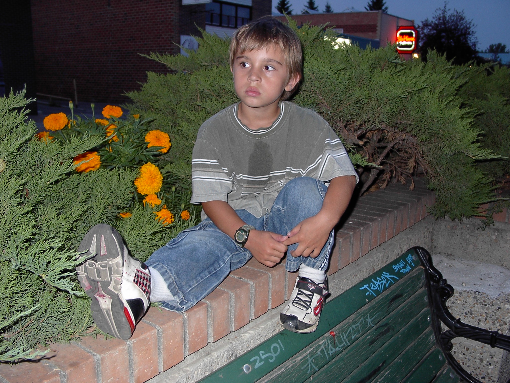 http://upforme.ru/uploads/0000/a6/4a/2516-1-f.jpg