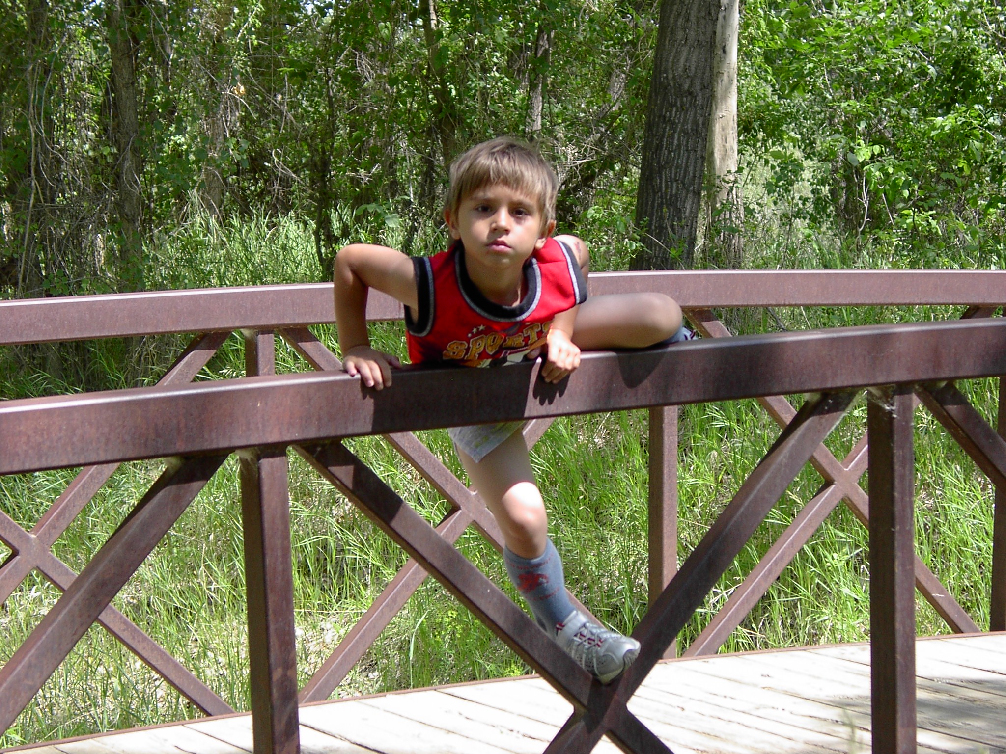 http://upforme.ru/uploads/0000/a6/4a/2712-1-f.jpg