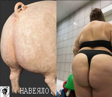 http://upforme.ru/uploads/0001/15/60/6/t950663.jpg
