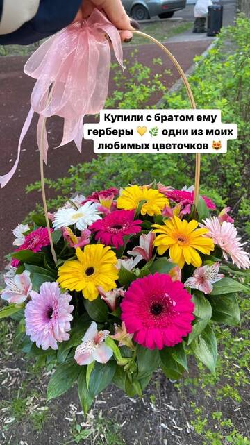 http://upforme.ru/uploads/0001/15/60/947/t115243.jpg