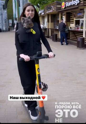 http://upforme.ru/uploads/0001/15/60/947/t225456.jpg