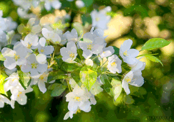http://upforme.ru/uploads/0001/15/60/947/t311873.gif