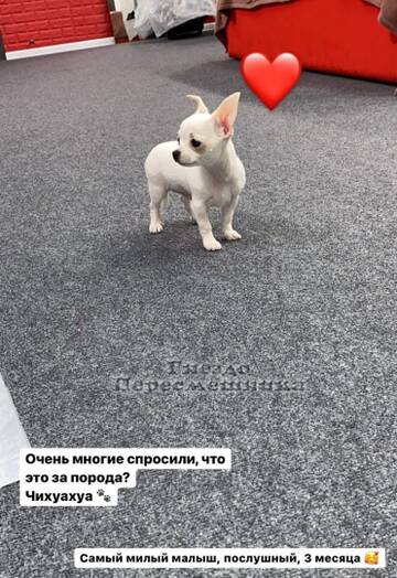 http://upforme.ru/uploads/0001/15/60/947/t696141.jpg