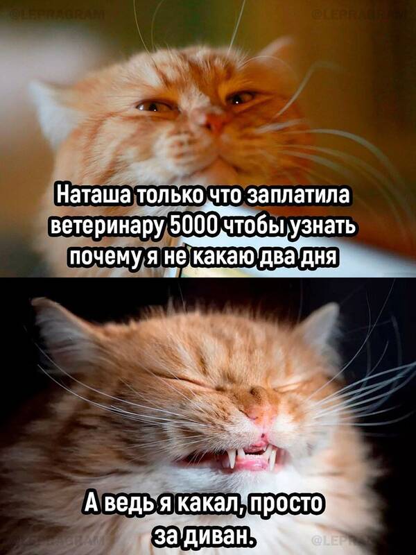 http://upforme.ru/uploads/0001/2e/0f/143/t148432.jpg