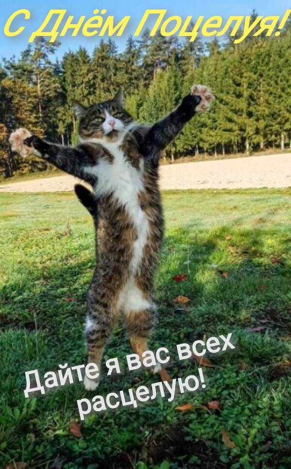 http://upforme.ru/uploads/0001/2e/0f/143/t278231.jpg