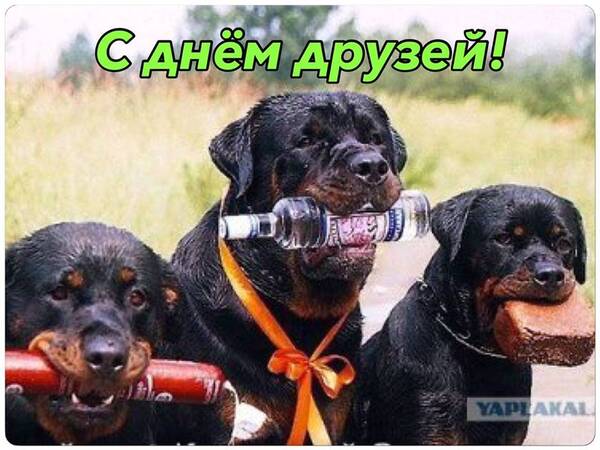 http://upforme.ru/uploads/0001/2e/0f/143/t352349.jpg