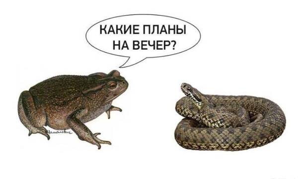 http://upforme.ru/uploads/0001/2e/0f/143/t383891.jpg