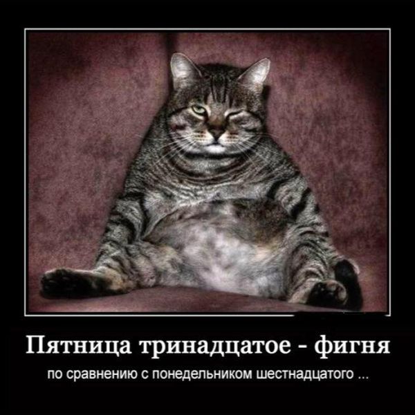 http://upforme.ru/uploads/0001/2e/0f/143/t396649.jpg