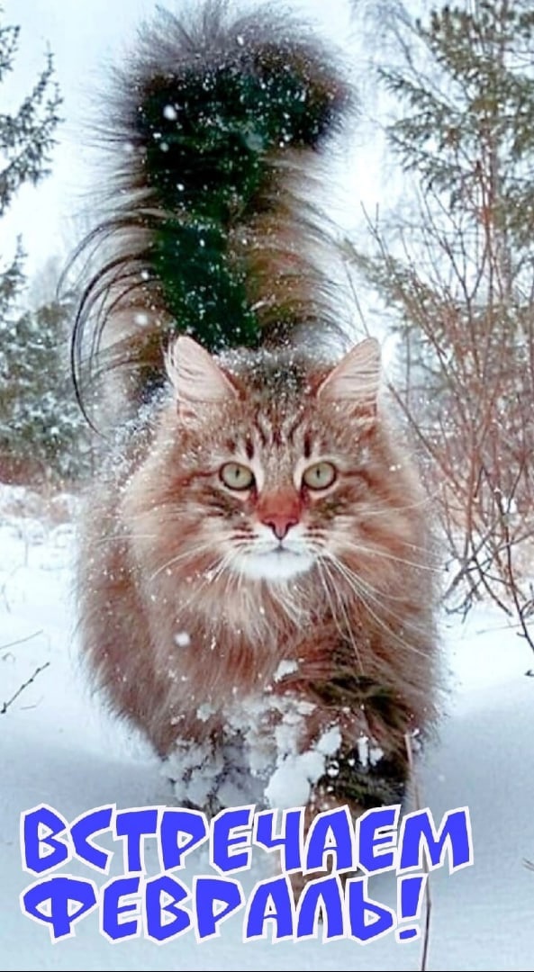 http://upforme.ru/uploads/0001/2e/0f/143/t424498.jpg