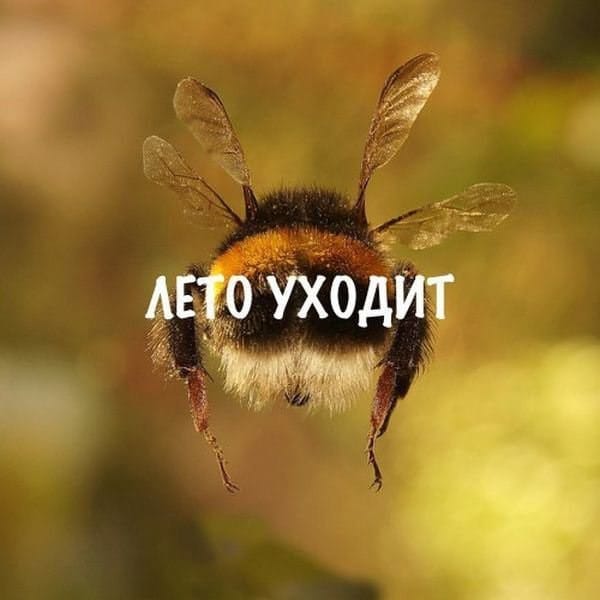 http://upforme.ru/uploads/0001/2e/0f/143/t454454.jpg