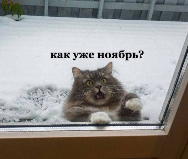 http://upforme.ru/uploads/0001/2e/0f/143/t497177.jpg
