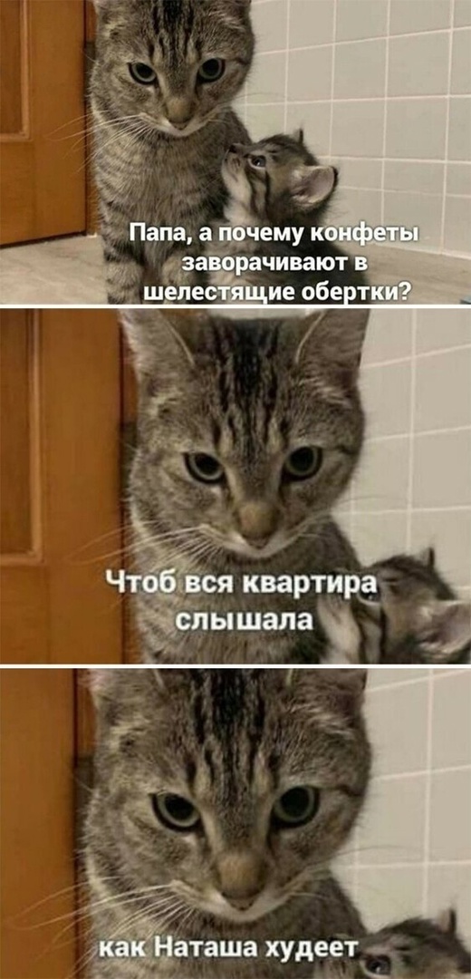 http://upforme.ru/uploads/0001/2e/0f/143/t530170.jpg