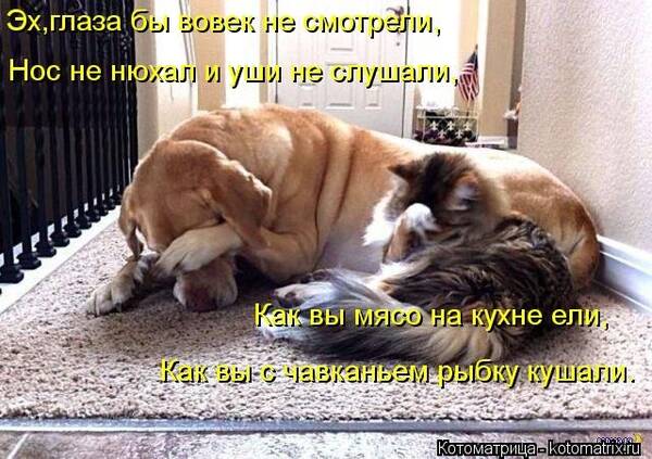http://upforme.ru/uploads/0001/2e/0f/143/t535263.jpg