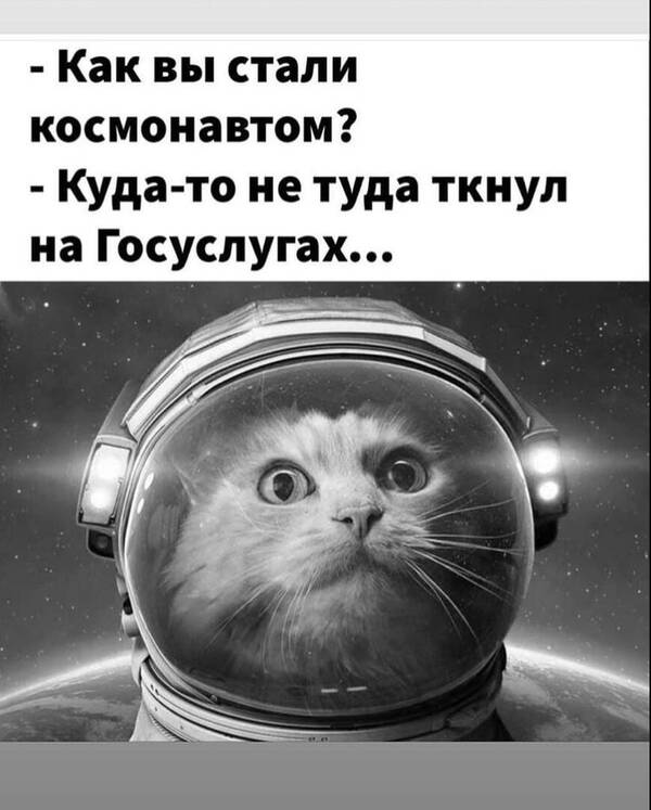 http://upforme.ru/uploads/0001/2e/0f/143/t549084.jpg