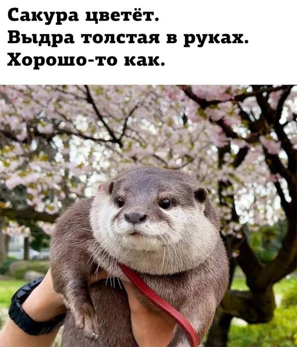 http://upforme.ru/uploads/0001/2e/0f/143/t606196.jpg