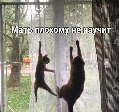 http://upforme.ru/uploads/0001/2e/0f/143/t759949.jpg