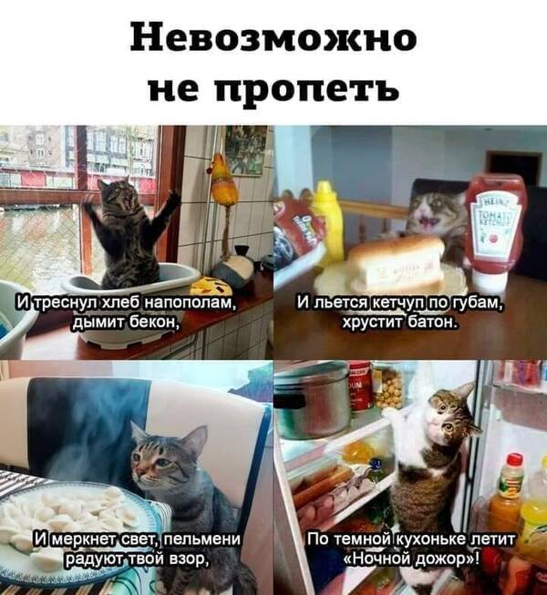 http://upforme.ru/uploads/0001/2e/0f/143/t839871.jpg