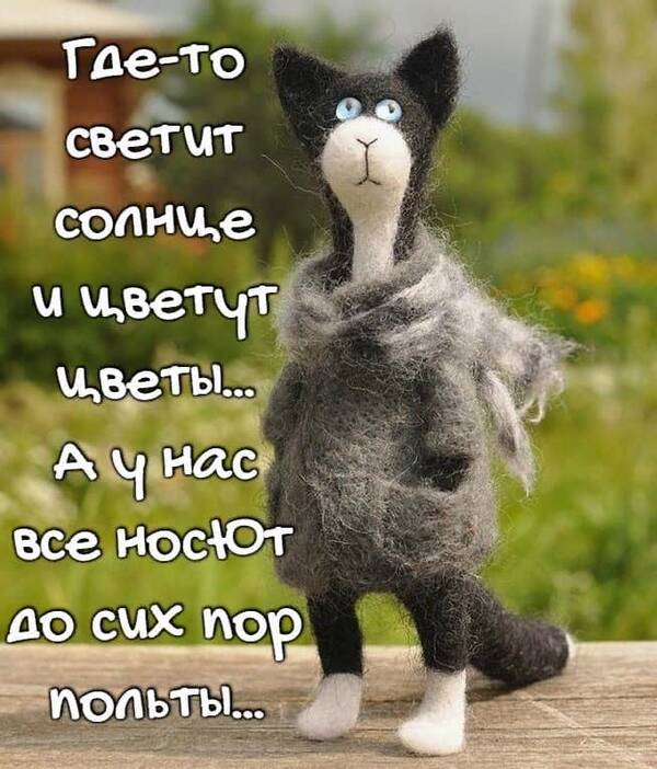 http://upforme.ru/uploads/0001/2e/0f/143/t887605.jpg
