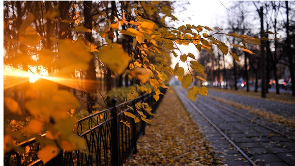 http://upforme.ru/uploads/0001/2e/0f/4/t125655.png