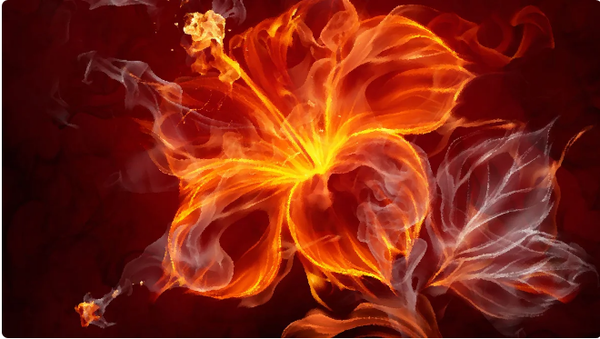 http://upforme.ru/uploads/0001/2e/0f/4/t197762.png