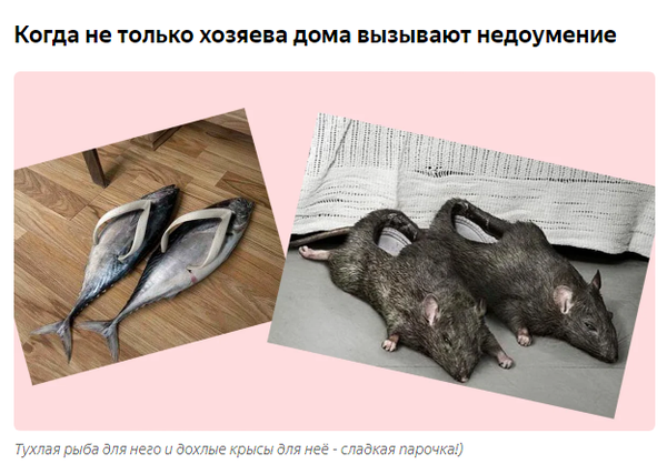 http://upforme.ru/uploads/0001/2e/0f/4/t34960.png