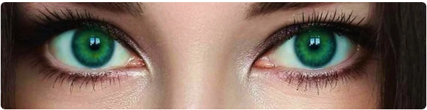 http://upforme.ru/uploads/0001/2e/0f/4/t70208.png
