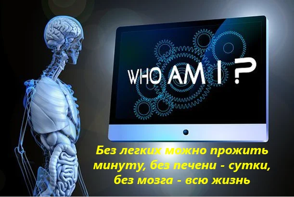 http://upforme.ru/uploads/0001/2e/0f/4/t836013.png