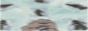 http://upforme.ru/uploads/0001/2f/44/285-1.gif