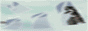 http://upforme.ru/uploads/0001/2f/44/285-2.gif