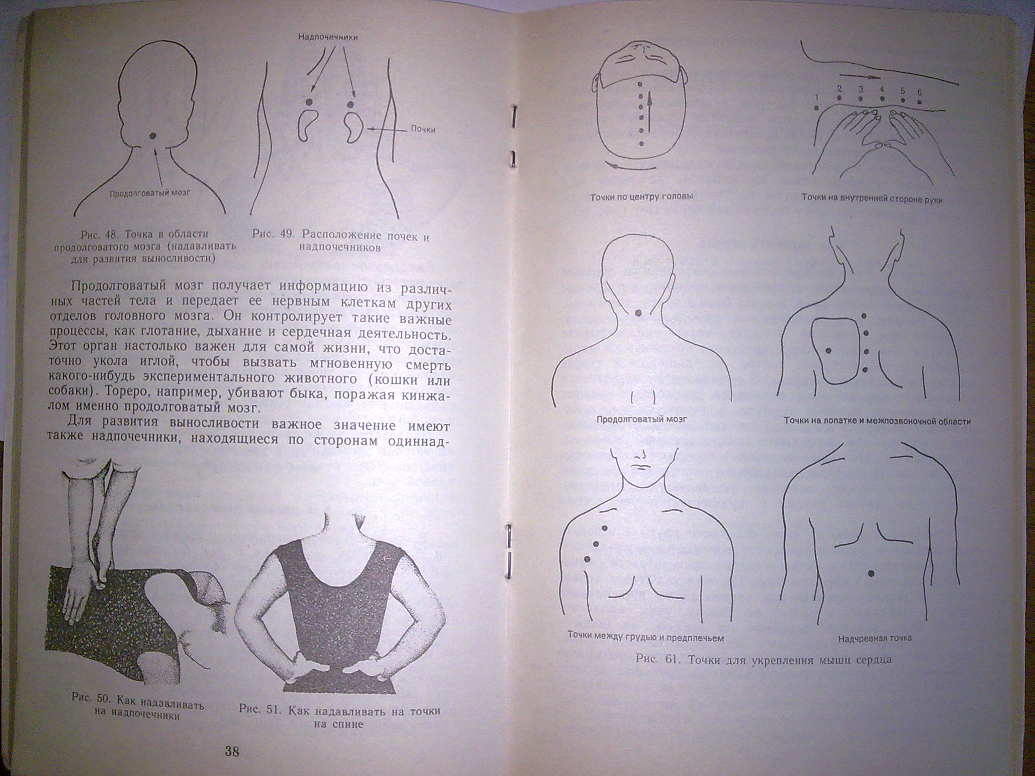 http://upforme.ru/uploads/0001/48/78/17182-1-f.jpg