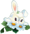 http://upforme.ru/uploads/0001/73/09/392/t140214.gif