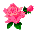 http://upforme.ru/uploads/0001/73/09/392/t264836.gif
