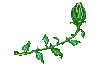 http://upforme.ru/uploads/0001/73/09/392/t31704.gif