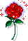 http://upforme.ru/uploads/0001/73/09/392/t335480.gif