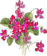 http://upforme.ru/uploads/0001/73/09/392/t336028.gif
