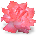 http://upforme.ru/uploads/0001/73/09/392/t392971.png