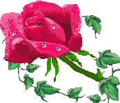 http://upforme.ru/uploads/0001/73/09/392/t437359.gif