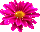 http://upforme.ru/uploads/0001/73/09/392/t459982.gif