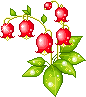 http://upforme.ru/uploads/0001/73/09/392/t507853.gif