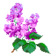 http://upforme.ru/uploads/0001/73/09/392/t510540.gif