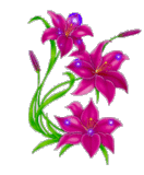 http://upforme.ru/uploads/0001/73/09/392/t534396.gif